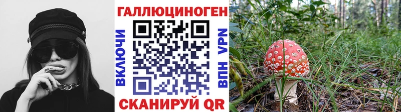 Псилоцибиновые грибы Psilocybe  дарнет шоп  кракен сайт  Пустошка 