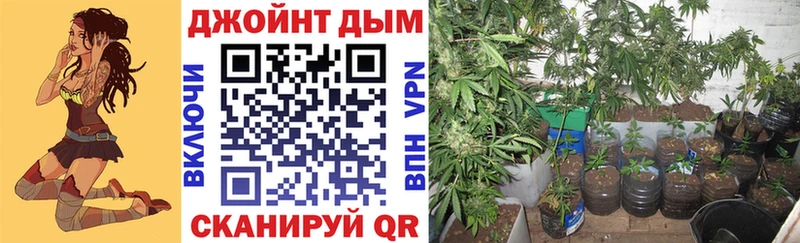 Каннабис Amnesia  ОМГ ОМГ ссылка  Пустошка 